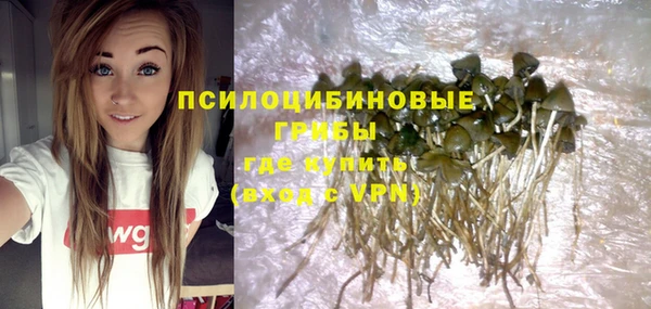 спиды Абинск