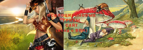 МДПВ Алексеевка