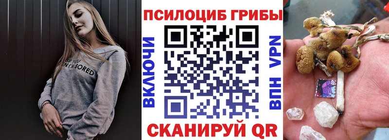 даркнет как зайти  Дмитров  Галлюциногенные грибы MAGIC MUSHROOMS  купить наркоту 